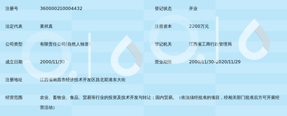 江西宏通人投资集团