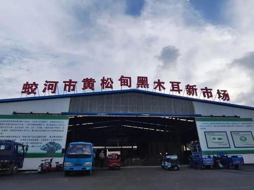 老字号 产品添柴助力江城文旅热