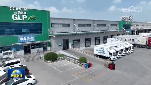 冷链物流行业剖析 市场需求 基础设施与经营主体变革