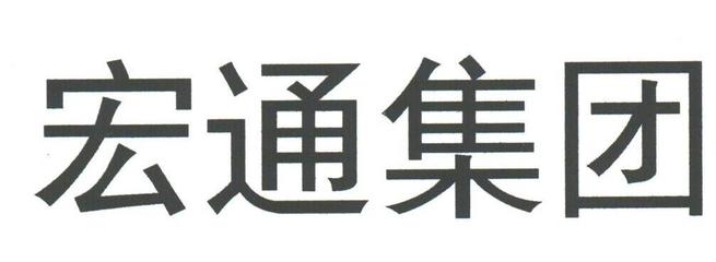 宏通集团在第42类网站服务领域的战略布局与品牌价值
