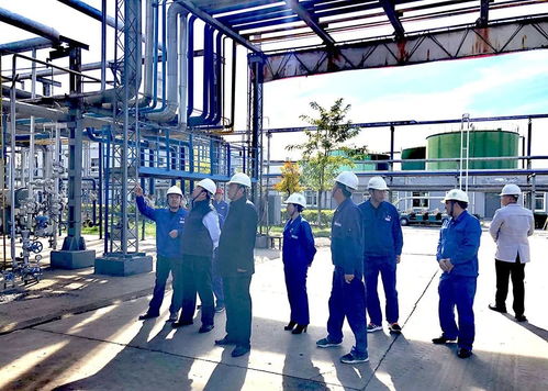 精心打造母厂 重振历史雄风——宝塔集团董事局孙珩超主席调研精细化工技改项目